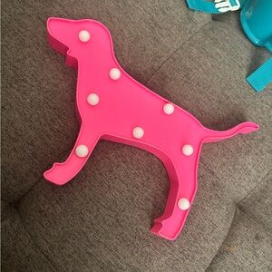Vs pink light up dog